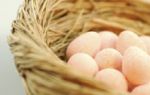 Ostereier und Qualitt  - Hasen wrden Bio-Eier kaufen