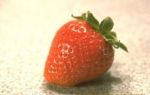 Erdbeeren - frisch gepflckt am Besten