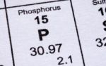 Phosphor  - Baustein fr Knochen und Zhne