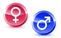 Gender Medizin  - geschlechtersensible Medizin